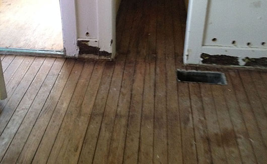 water damage wood floors