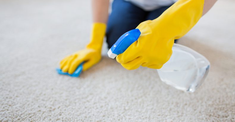 cleaning your carpets