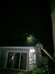 tree impact on roof of house
