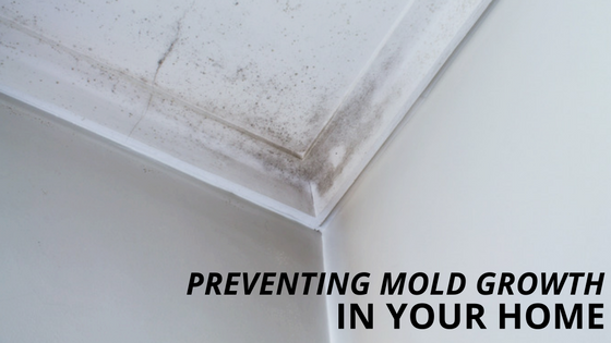 Preventing Mold Growth in Your Home