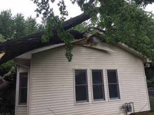swartz contracting - tree fell on house before