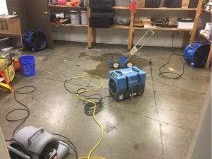 Commercial Water Damage Dry Out Process