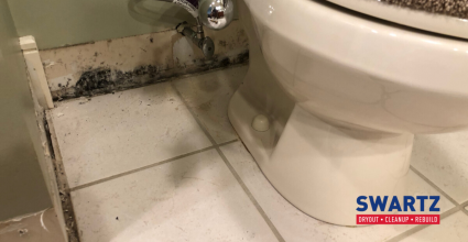 Toilet Leak in Lima, Ohio