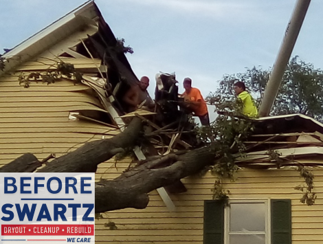 Fallen Tree Damage to Home